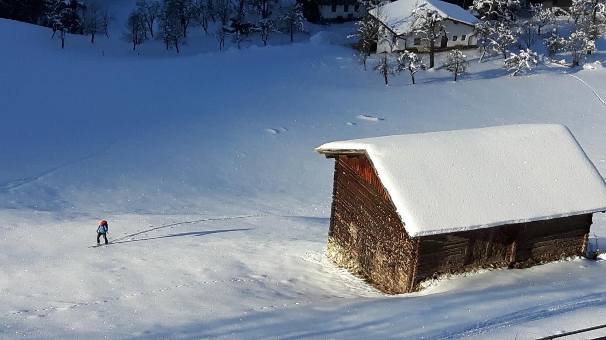 Haus Panorama Lägenhet Gerlosberg Exteriör bild