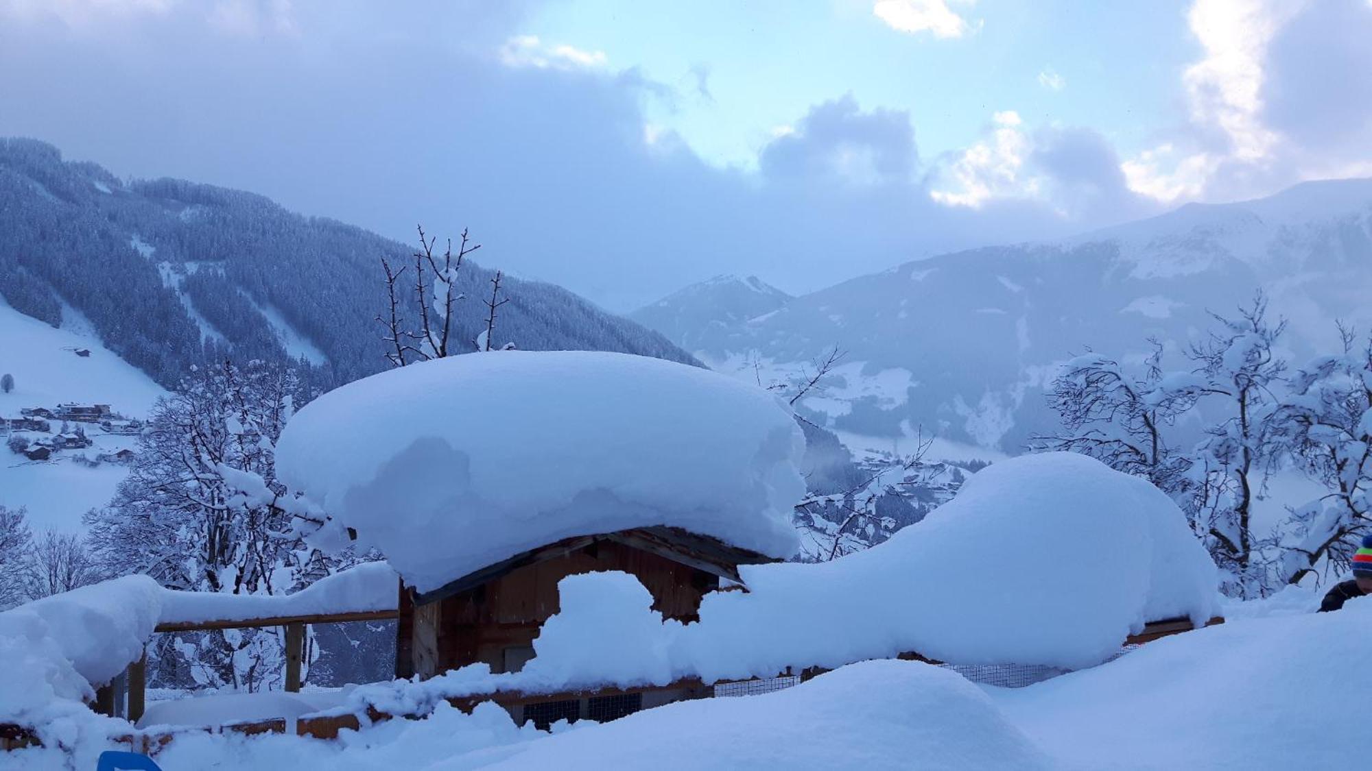Haus Panorama Lägenhet Gerlosberg Exteriör bild